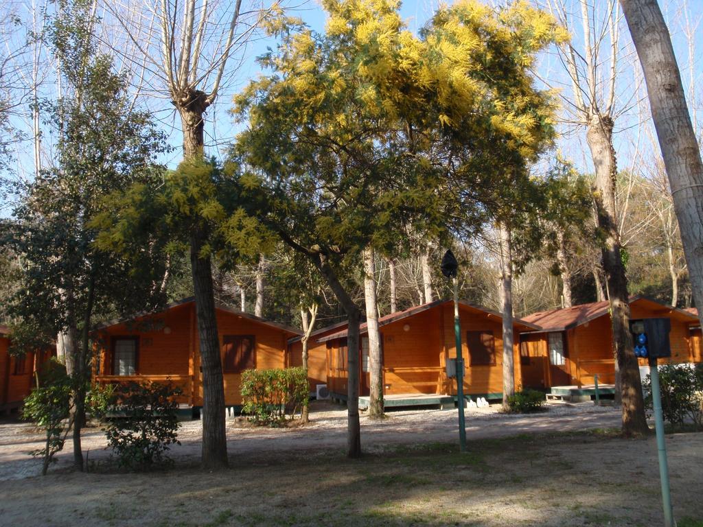 Campeggio Boscoverde Torre del Lago Puccini Exterior foto